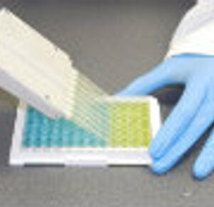 Alpaca IgG (Immunoglobulin G) ELISA Kit